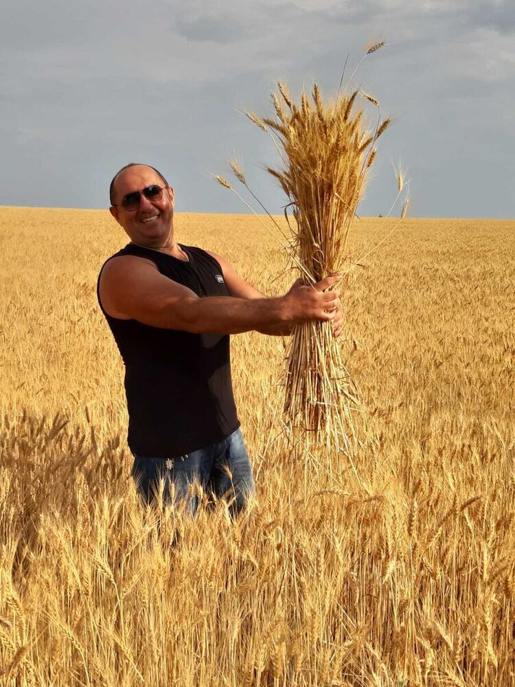 ���������� ���������, ���� ������� ���������, 45 ���, ������������ ��� ����� � ���������, c�������� ���������