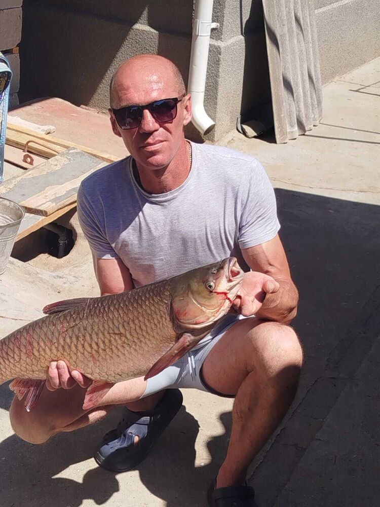 ���� 54991364 ������� ����, 47 ���, ���� ���������� � ��������