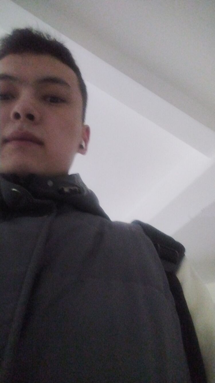  41236304  , 22 ,    