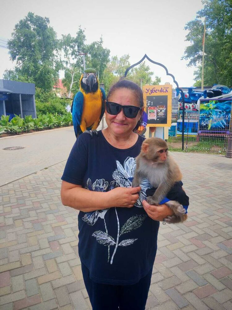  53872694  , 52 ,    --