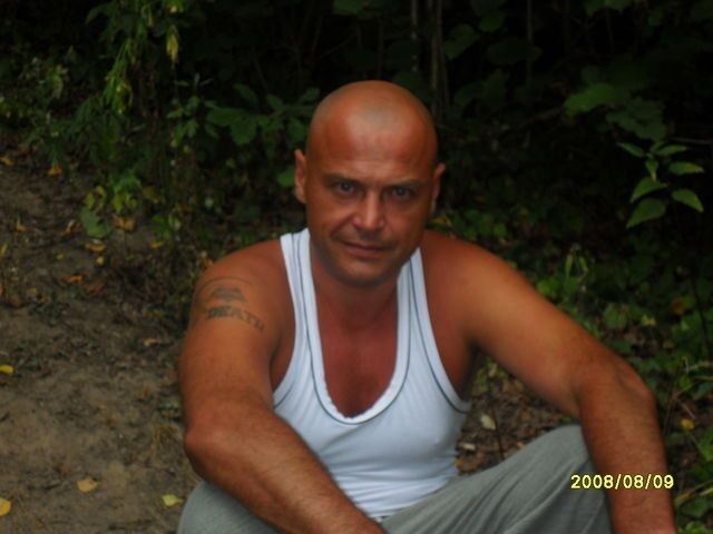  8503024  , 50 ,    