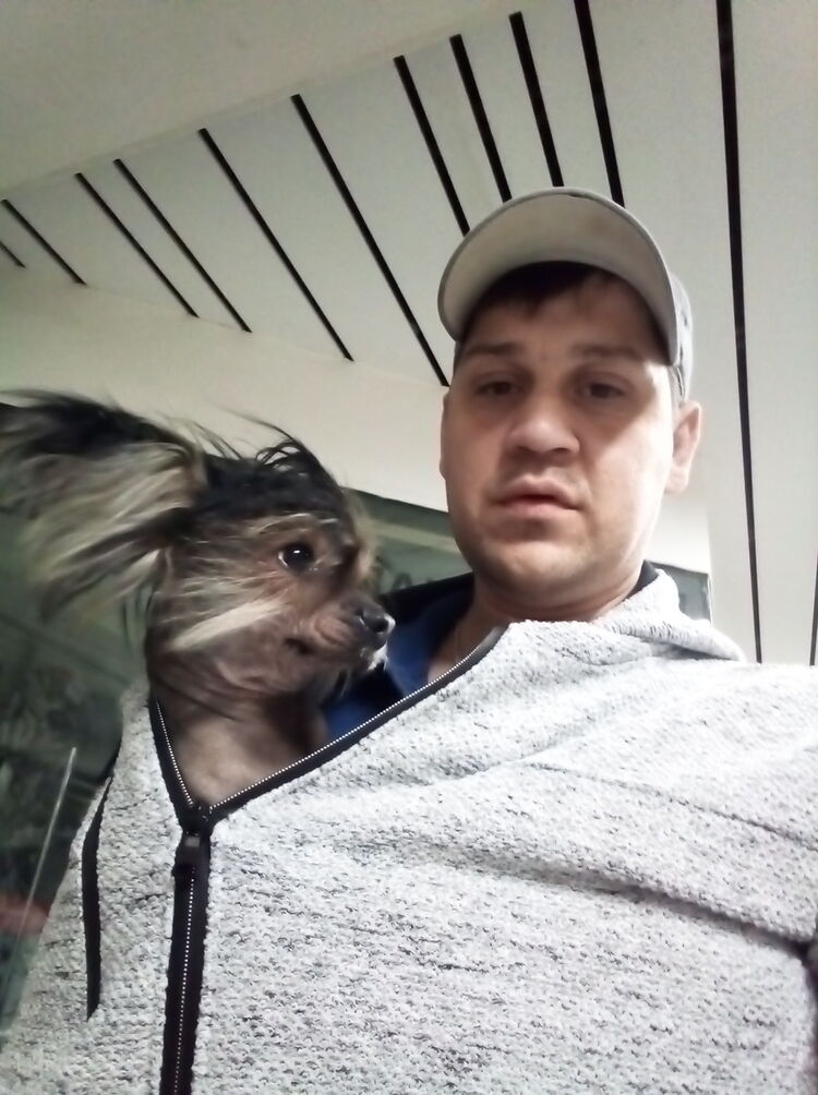 ���������� ������, ���� ������� ������, 42 ����, ������������ ��� ������, ����� � ���������, c�������� ���������