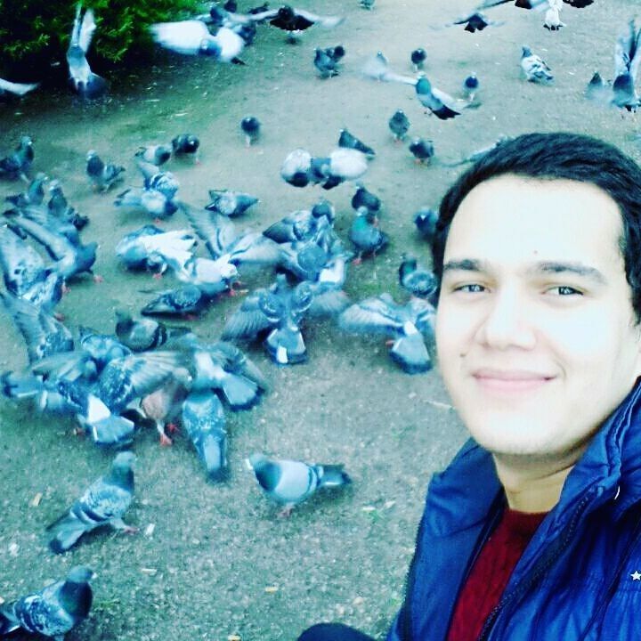 ���� 10676014 ������� ������, 32 ����, ���� ���������� � �����-����������