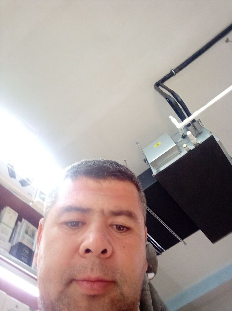  53908054  , 42 ,    
