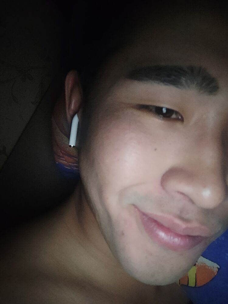  33408044  , 26 ,    