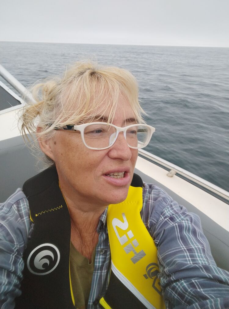  ,   , 58 ,   ,   