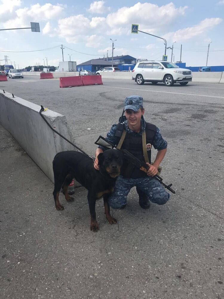 ���� 25439194 ������� ���������, 31 ���, ���� ���������� � ��������