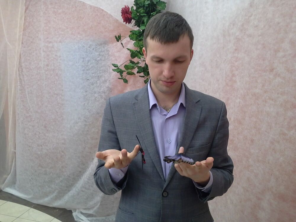 ���������� ������, ���� ������� ����, 36 ���, ������������ ��� ����� � ���������, c�������� ���������