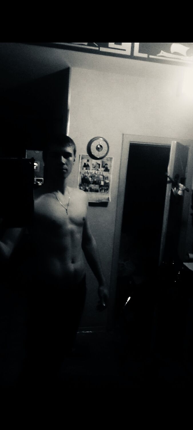  41511164  , 31 ,    