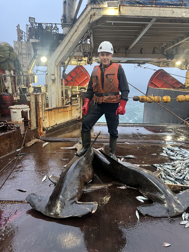 ���������� �������������, ���� ������� ����, 38 ���, ������������ ��� ������, ����� � ���������