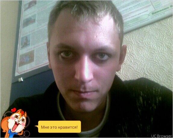  8099894  , 40 ,    