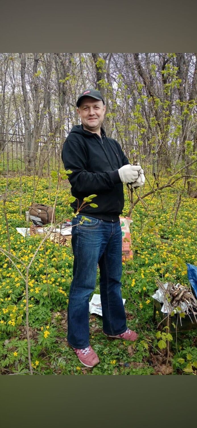 ���� 55050664 ������� ������, 44 ����, ���� ���������� � �����������