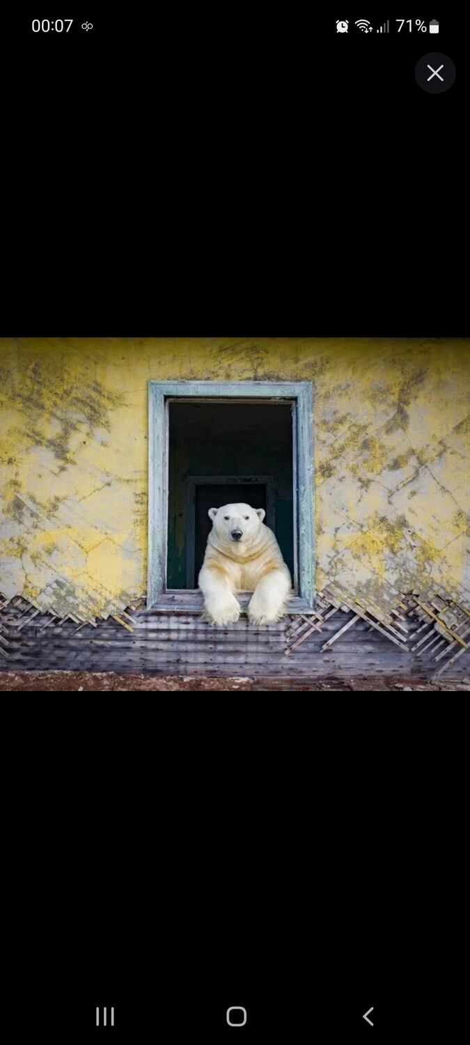 ���������� �����-���������, ���� ������� ���, 46 ���, ������������ ��� ������, ����� � ���������, c�������� ���������, ���������