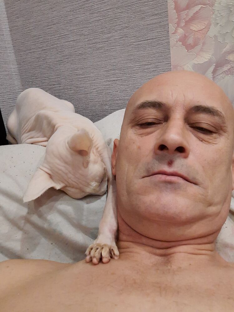 ���� 24680114 ������� �������, 50 ���, ���� ���������� � ��������