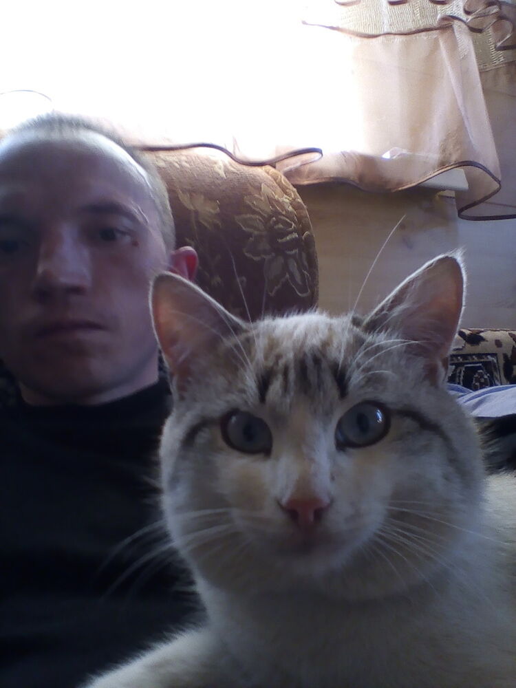 ���� 16741704 ������� ����, 36 ���, ���� ���������� � ���������� ������