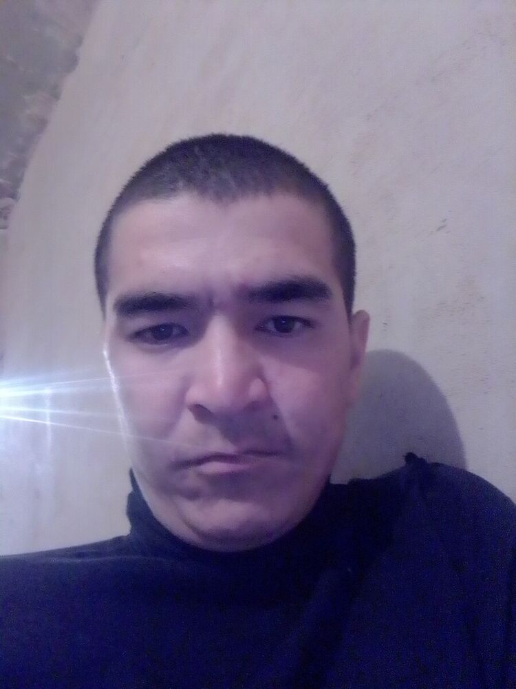  20900384  , 28 ,    -