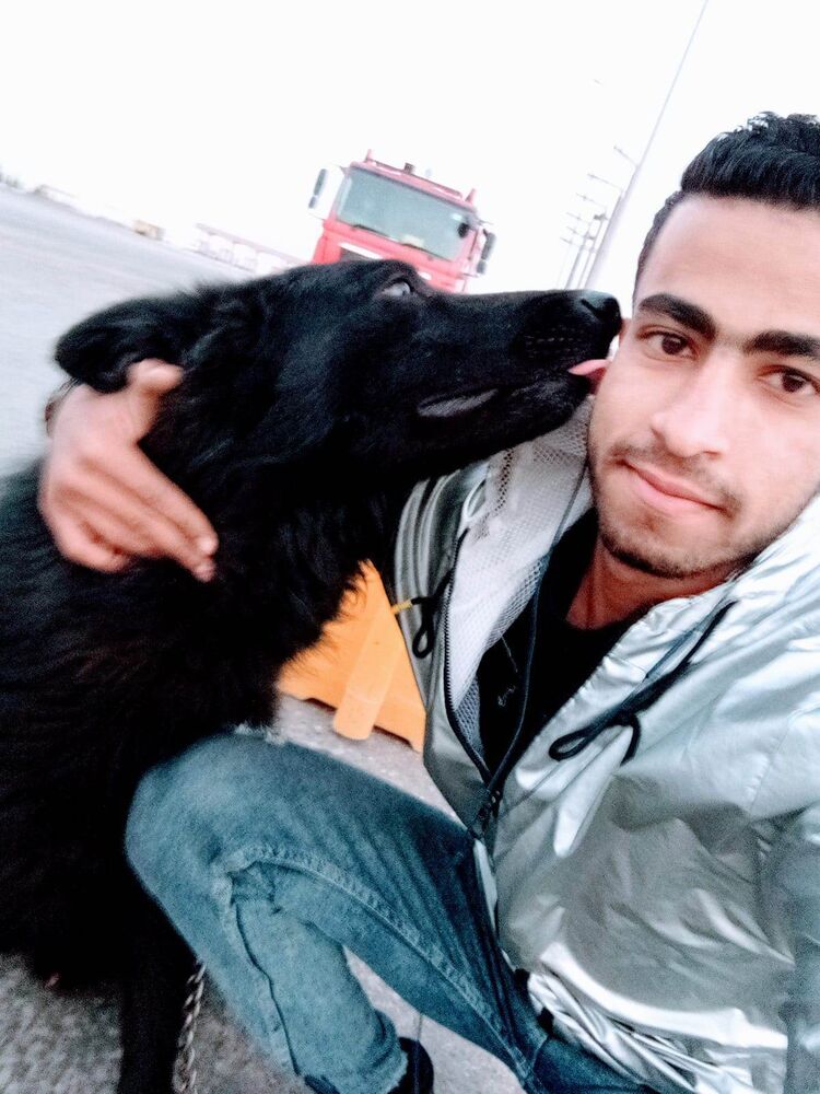 ���������� �����, ���� ����� ������ ����, 24 ����, ������������ ��� ������, ����� � ���������, c�������� ���������, ���������