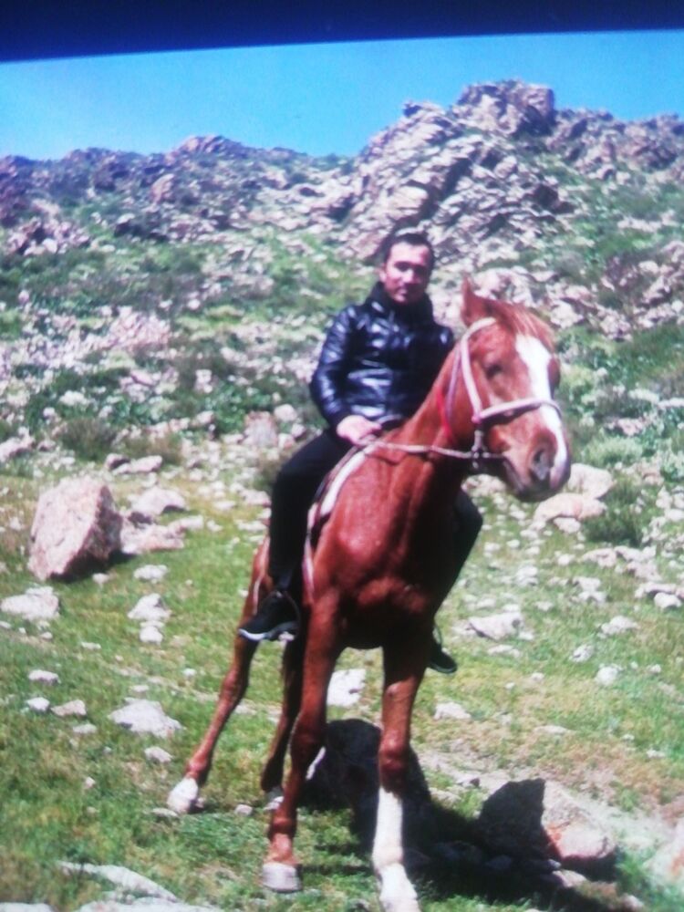 ���� 23596714 ������� �����, 32 ����, ���� ���������� � ������