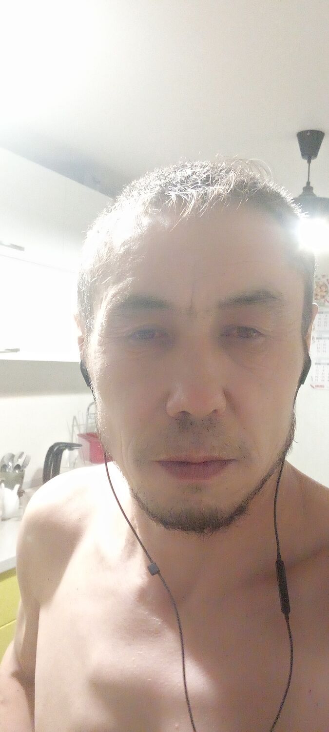  41038854  , 46 ,    