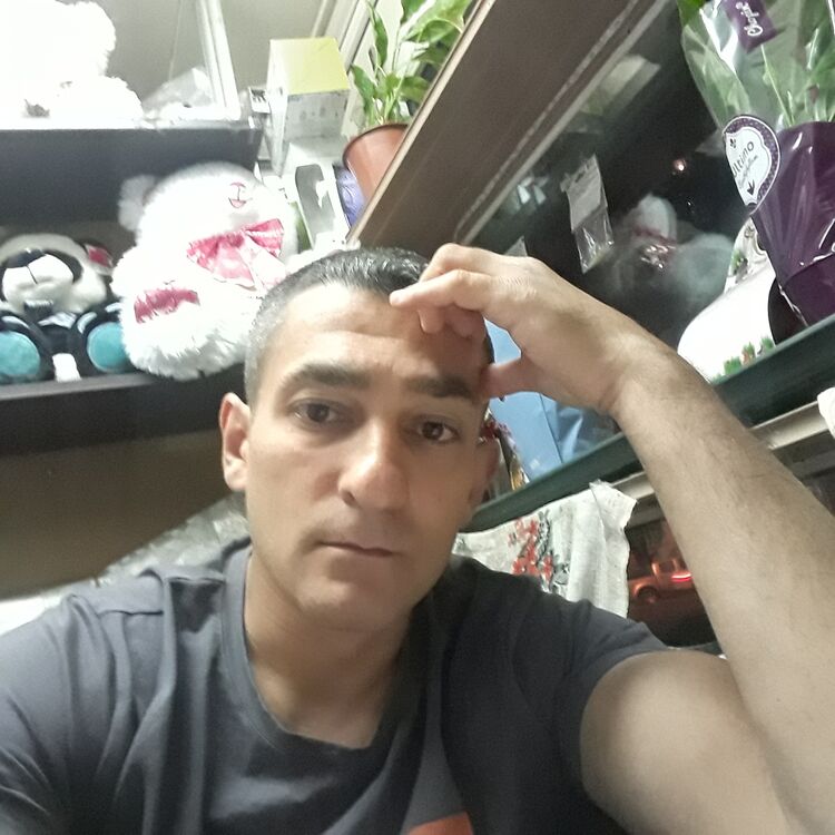  28559714  , 38 ,    