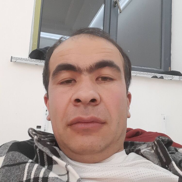  42505434  Shahram, 33 ,    