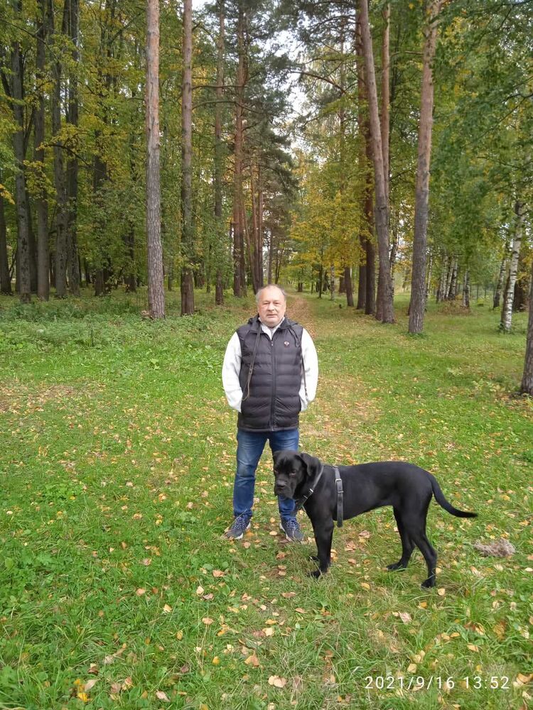 ���������� ������, ���� ������� ��������, 60 ���, ������������ ��� ����� � ���������, c�������� ���������