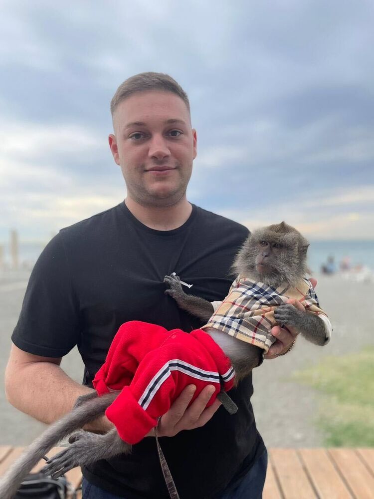 ���� 43108824 ������� ����, 31 ���, ���� ���������� � ������������