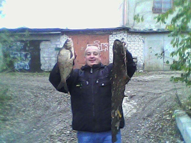 ���������� ������, ���� ������� �������, 44 ����, ������������ ��� ������, ���������