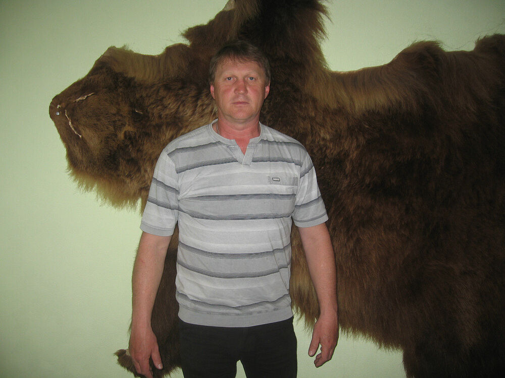  ,   , 62 ,   ,   