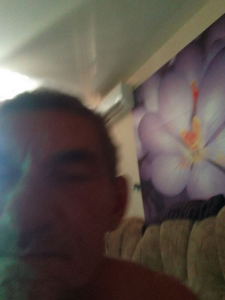  45694404  , 53 ,    