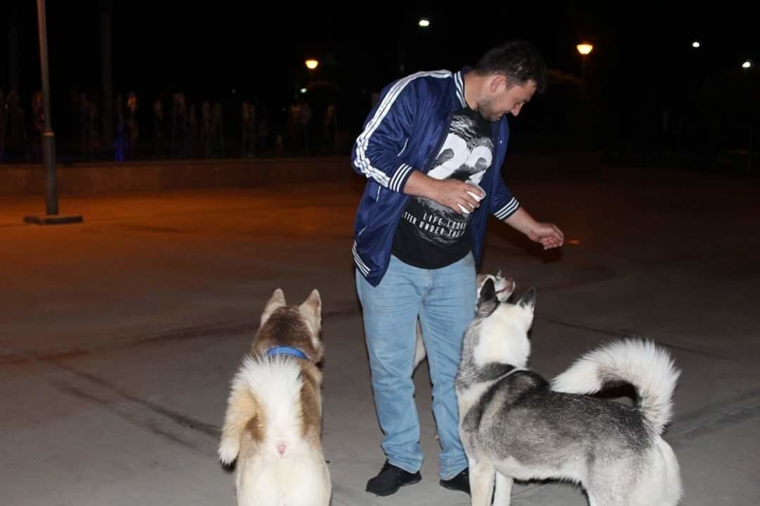 ���� 18977234 ������� IIRAKLI, 36 ���, ���� ���������� � �������