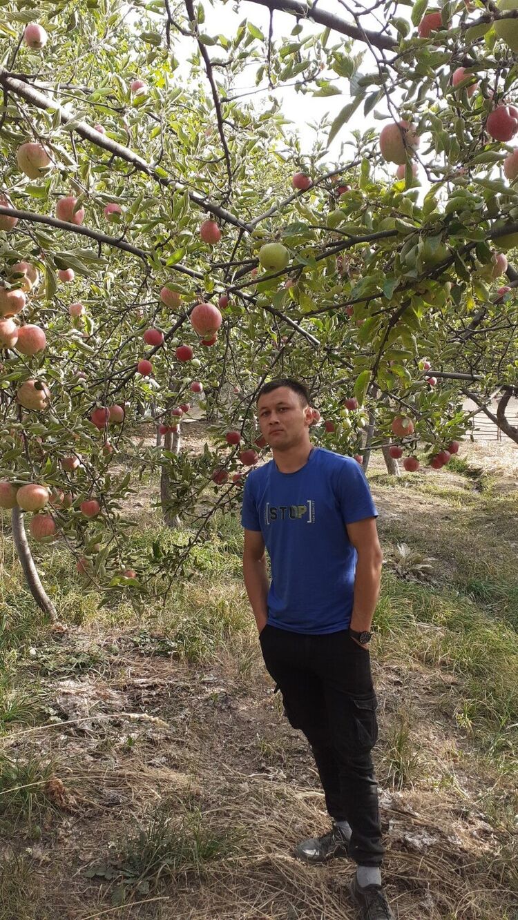 ���� 38018464 ������� ����, 28 ���, ���� ���������� � �����������