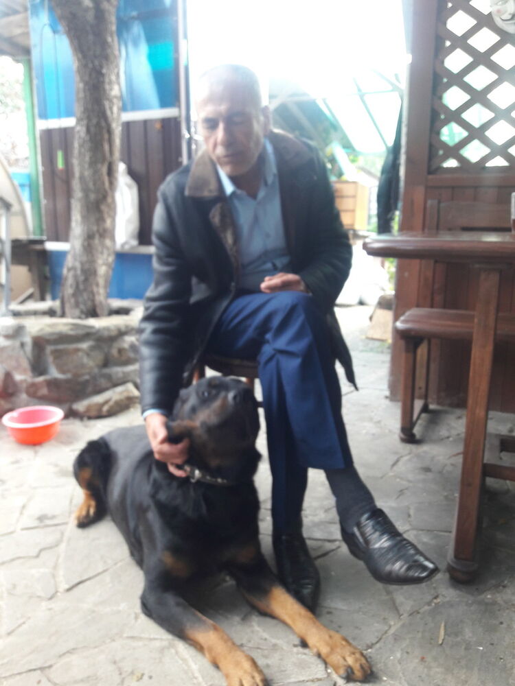  --,   , 63 ,   ,   , c 