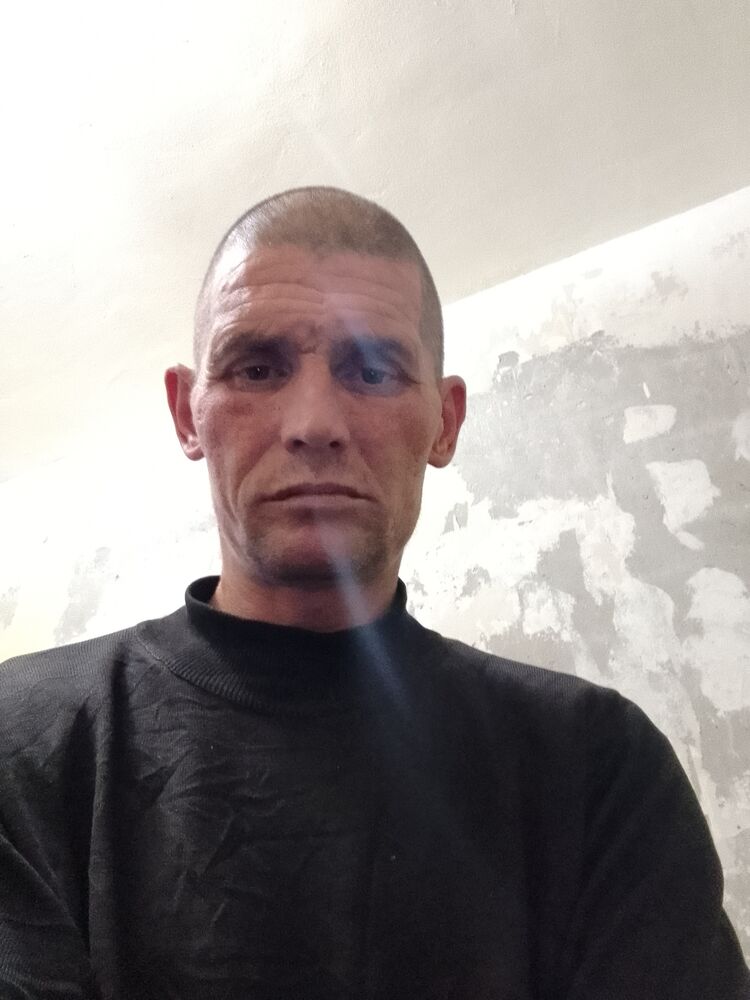  39534254  , 43 ,    