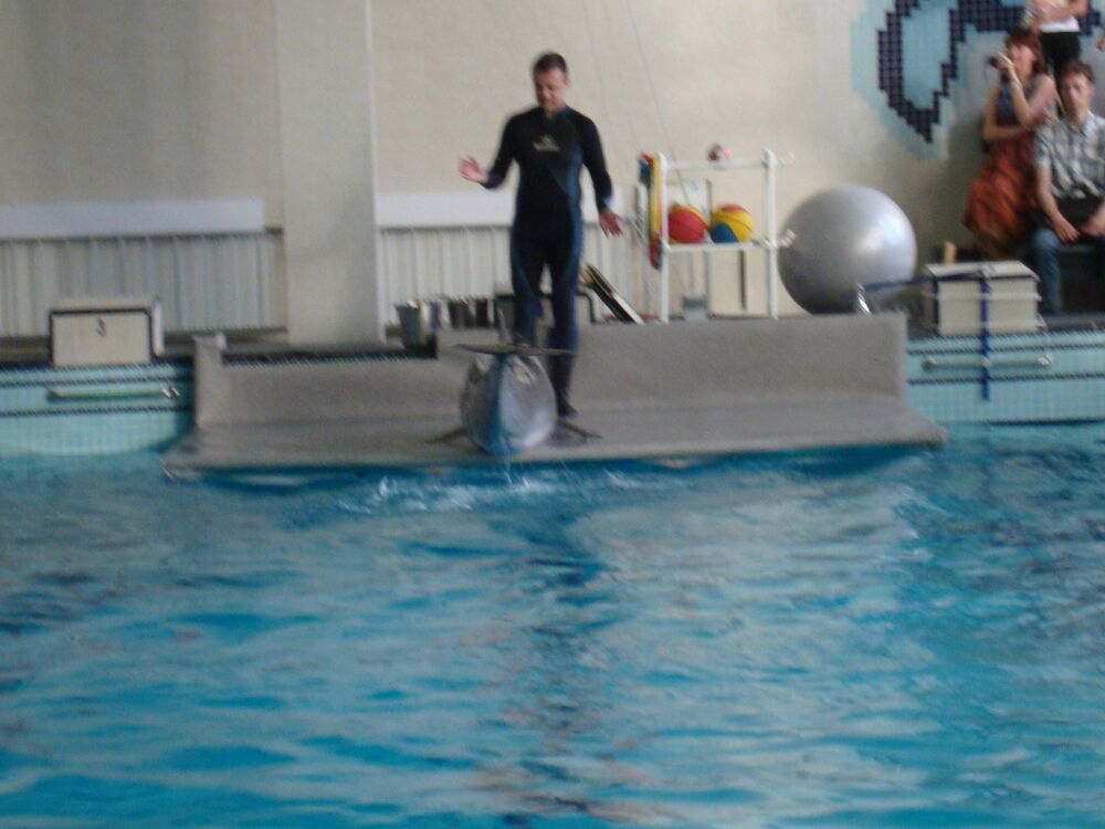 ���������� ������, ���� ������� �����, 47 ���, ������������ ��� ������, ����� � ���������, c�������� ���������