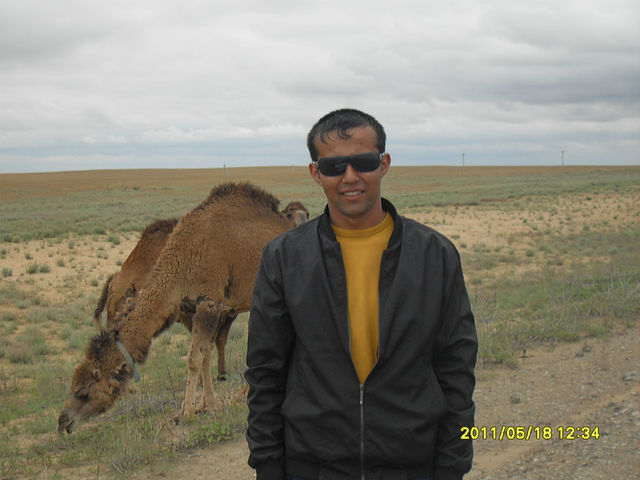  -,   , 37 ,   ,   , c 