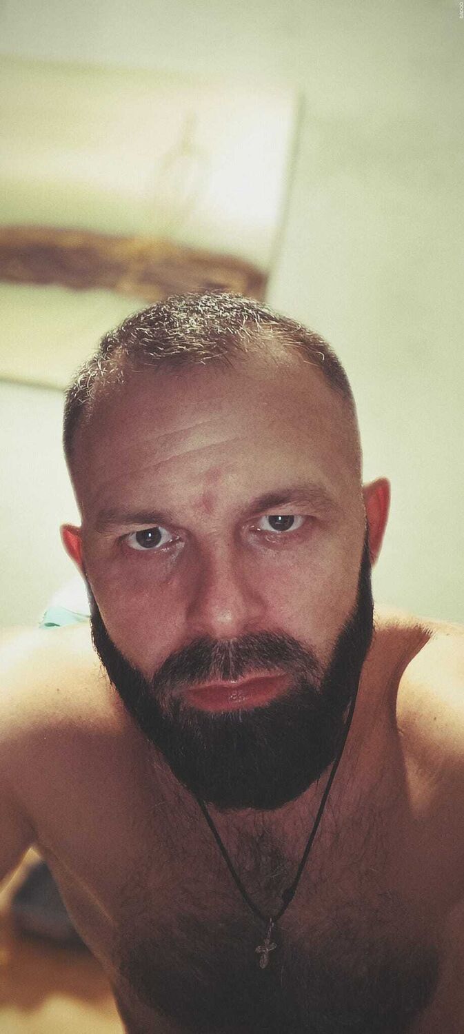  53363714  , 38 ,    