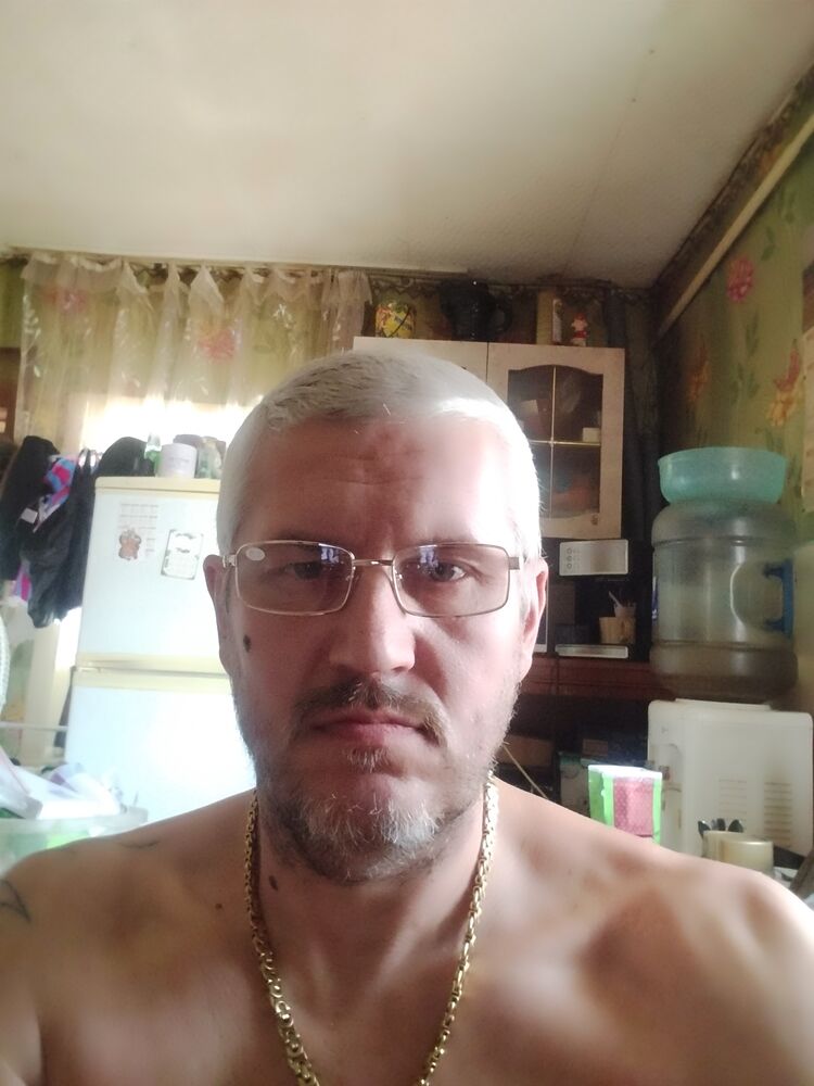  43861384  , 49 ,    