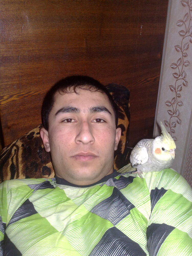 ���������� �����������, ���� ������� �����, 35 ���, ������������ ��� ������