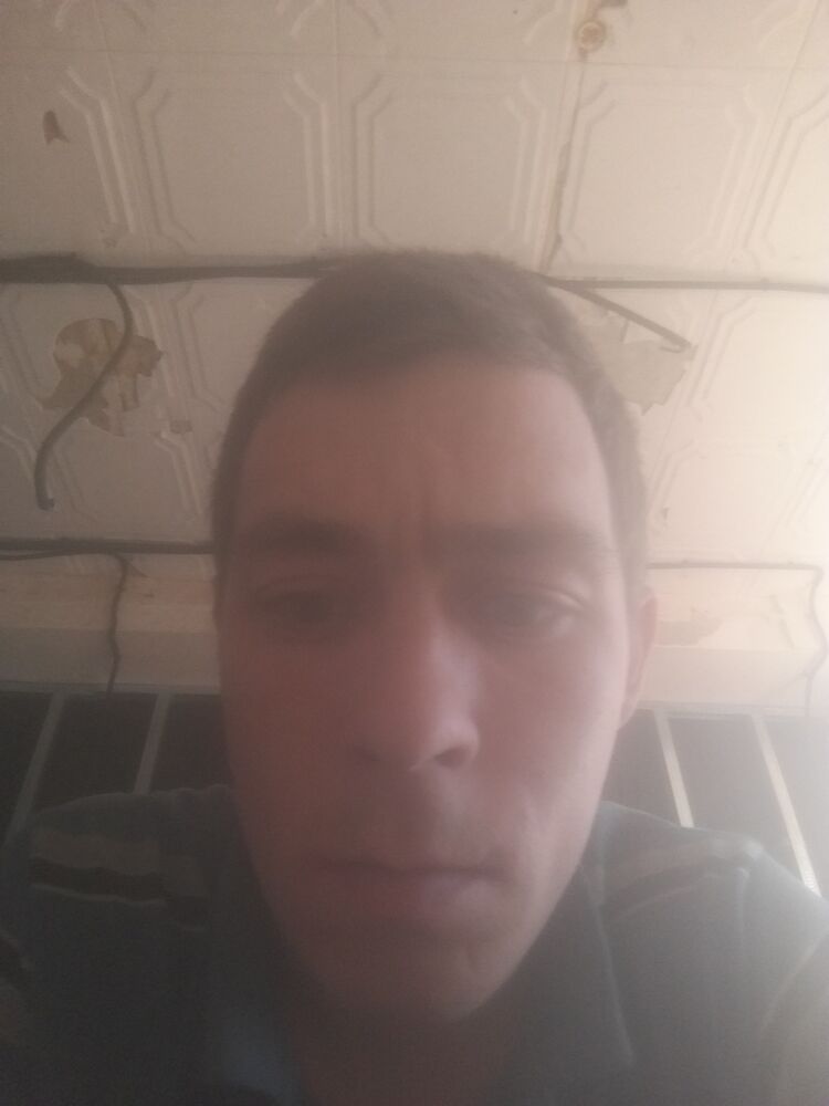 ���� 33520194 ������� ����, 31 ���, ���� ���������� � �����