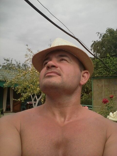  ,   , 51 ,   