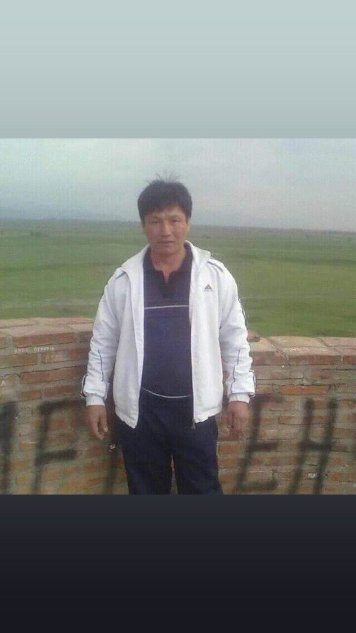  43830194  , 50 ,    