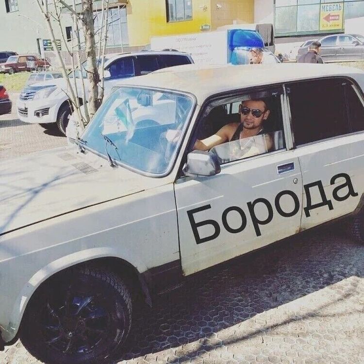  44133774  , 33 ,    