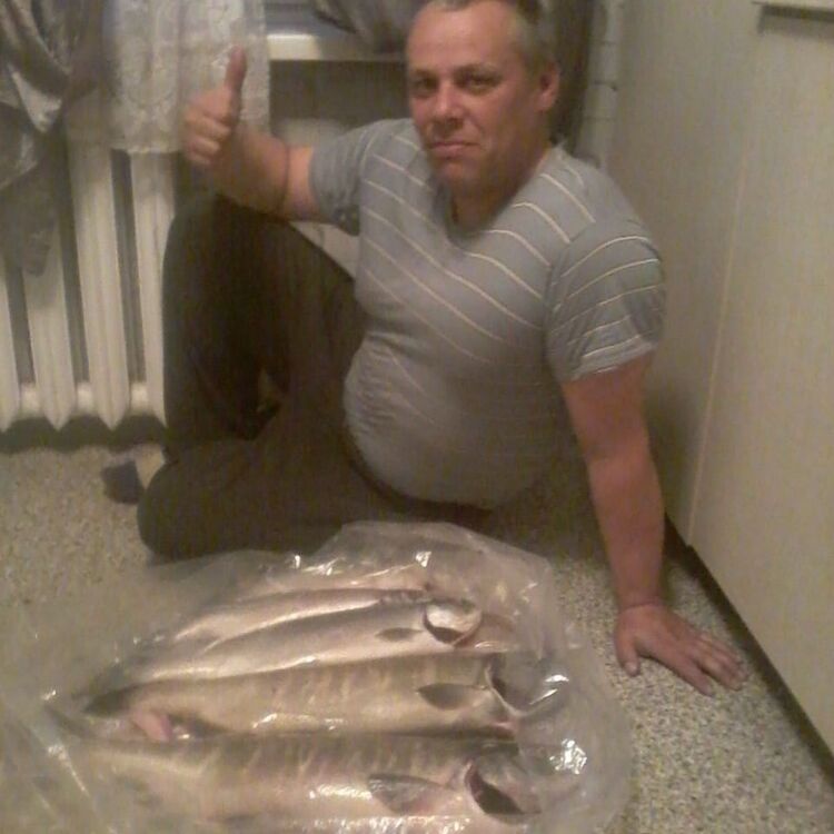 ���� 19119894 ������� �������, 47 ���, ���� ���������� � ��������������-����������