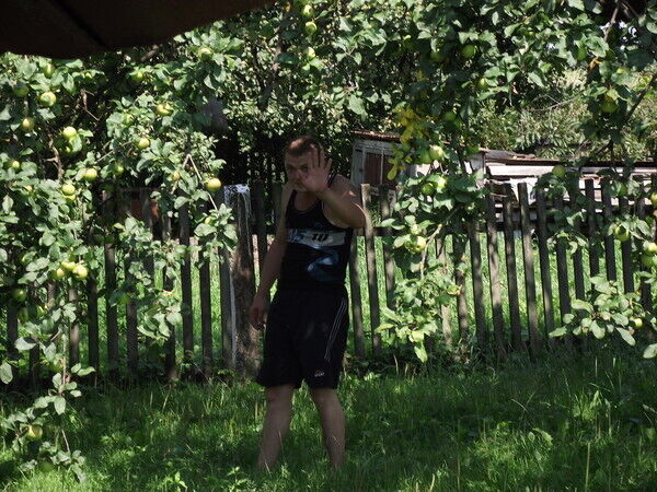  ,    , 42 ,   ,   