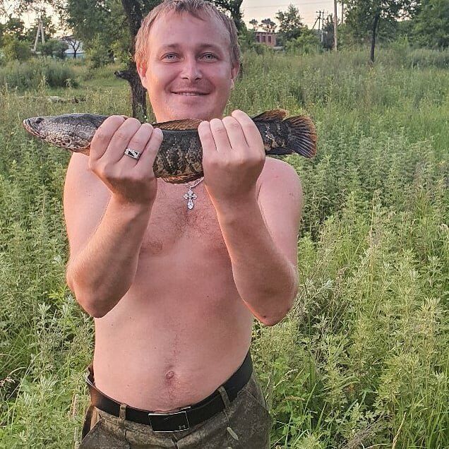 ���������� �����, ���� ������� ���������, 37 ���, ������������ ��� ������, ����� � ���������, c�������� ���������, ���������