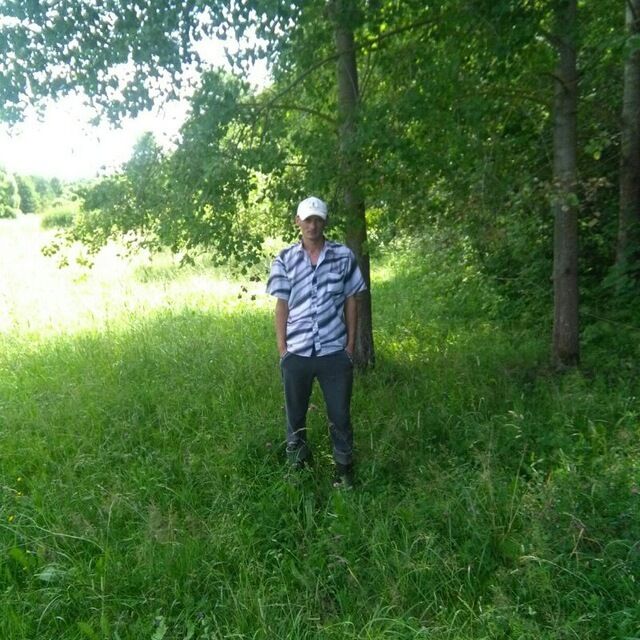  29215664  , 37 ,    