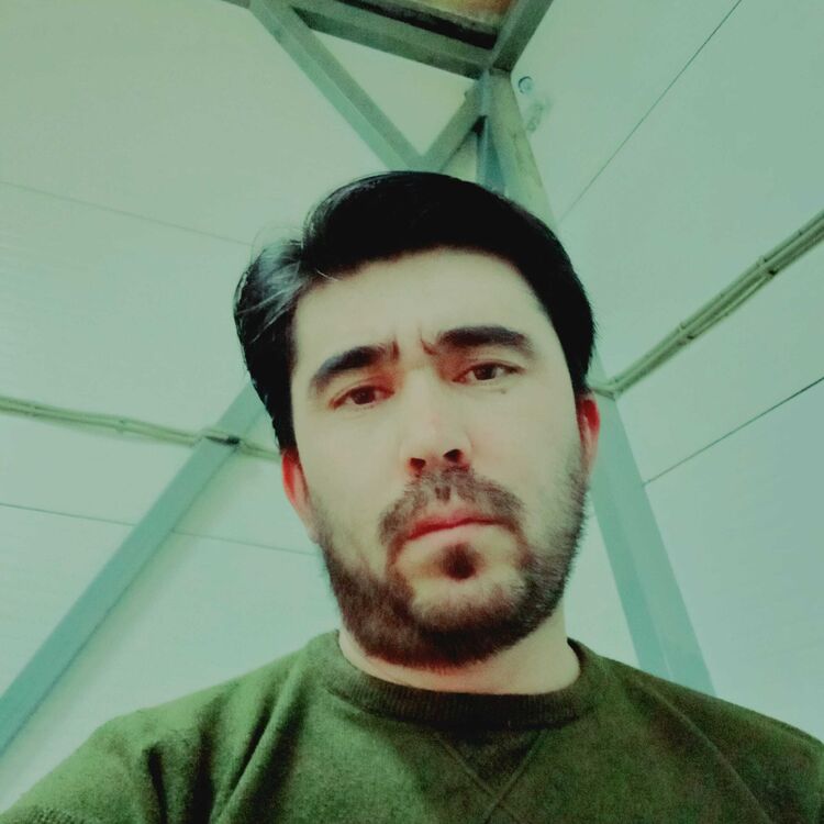 ���� 25340234 ������� �����, 32 ����, ���� ���������� � �����-����������