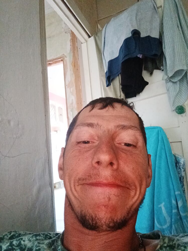  44838164  , 31 ,    