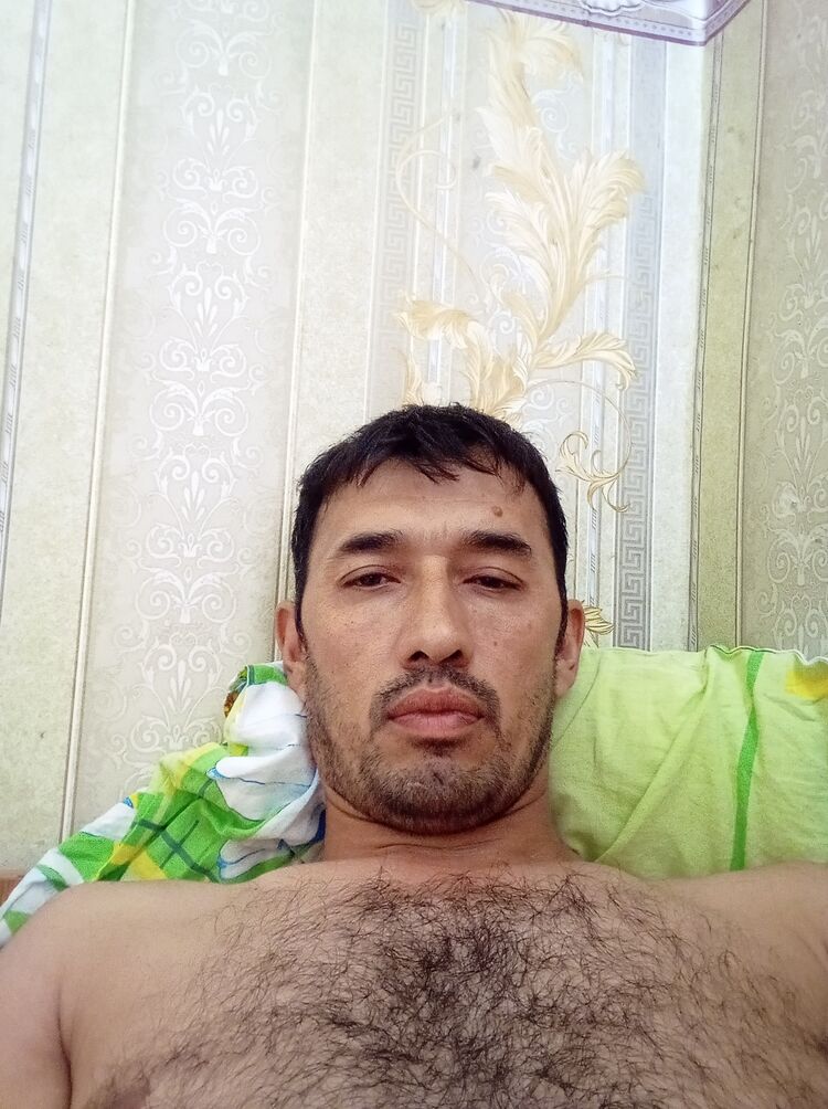 23722384  , 41 ,    